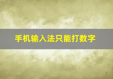 手机输入法只能打数字