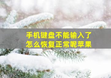 手机键盘不能输入了怎么恢复正常呢苹果