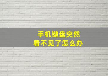 手机键盘突然看不见了怎么办