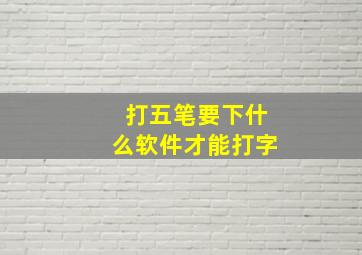 打五笔要下什么软件才能打字