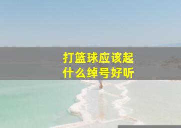 打篮球应该起什么绰号好听