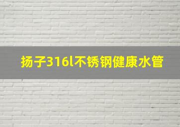 扬子316l不锈钢健康水管