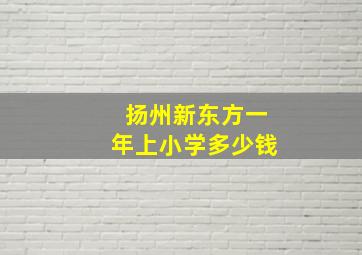 扬州新东方一年上小学多少钱