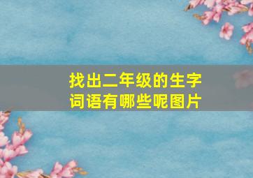 找出二年级的生字词语有哪些呢图片