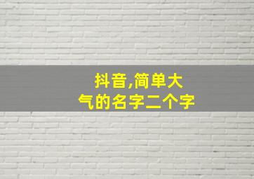 抖音,简单大气的名字二个字