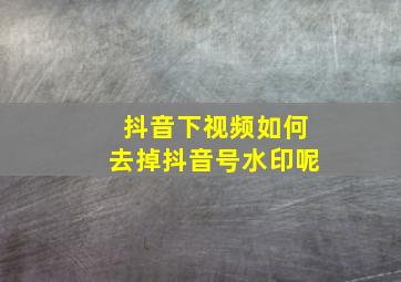 抖音下视频如何去掉抖音号水印呢