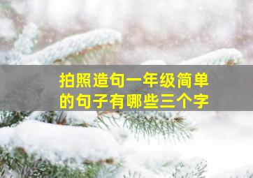 拍照造句一年级简单的句子有哪些三个字