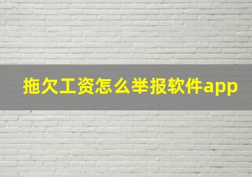 拖欠工资怎么举报软件app