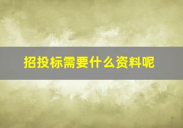 招投标需要什么资料呢