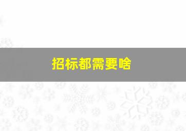 招标都需要啥