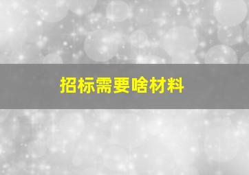 招标需要啥材料