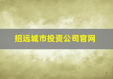 招远城市投资公司官网