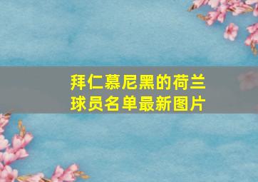 拜仁慕尼黑的荷兰球员名单最新图片