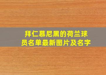 拜仁慕尼黑的荷兰球员名单最新图片及名字