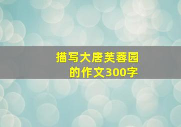 描写大唐芙蓉园的作文300字