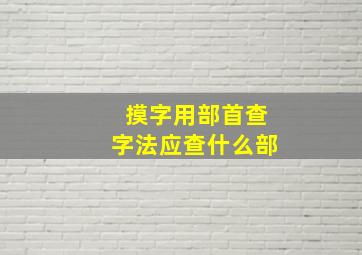 摸字用部首查字法应查什么部