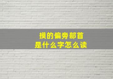 摸的偏旁部首是什么字怎么读