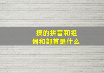 摸的拼音和组词和部首是什么