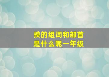 摸的组词和部首是什么呢一年级