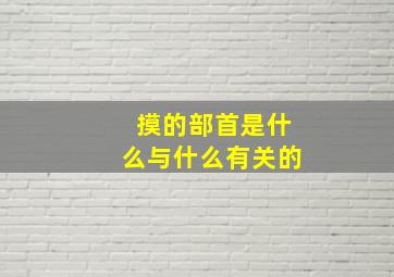 摸的部首是什么与什么有关的