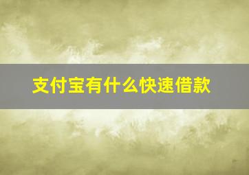 支付宝有什么快速借款