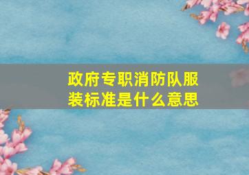 政府专职消防队服装标准是什么意思