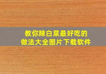 教你辣白菜最好吃的做法大全图片下载软件