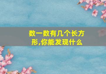 数一数有几个长方形,你能发现什么