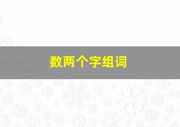 数两个字组词