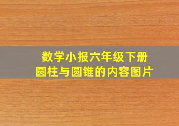 数学小报六年级下册圆柱与圆锥的内容图片