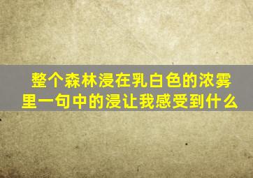 整个森林浸在乳白色的浓雾里一句中的浸让我感受到什么