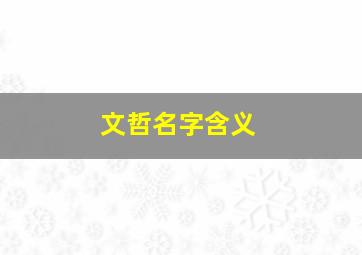 文哲名字含义