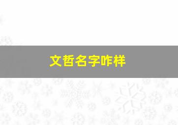 文哲名字咋样