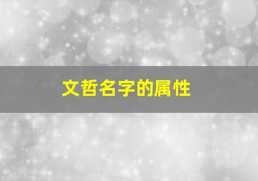 文哲名字的属性