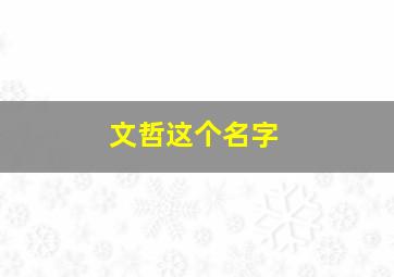 文哲这个名字