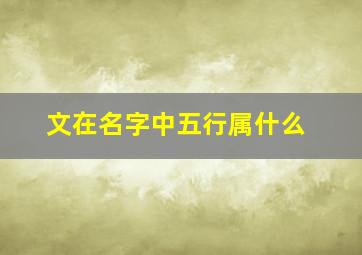 文在名字中五行属什么