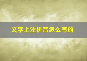 文字上注拼音怎么写的