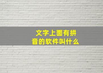 文字上面有拼音的软件叫什么