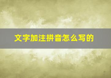 文字加注拼音怎么写的