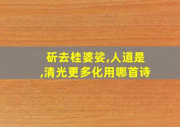 斫去桂婆娑,人道是,清光更多化用哪首诗