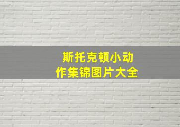 斯托克顿小动作集锦图片大全