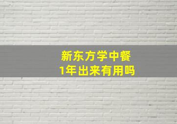 新东方学中餐1年出来有用吗