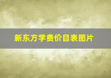 新东方学费价目表图片