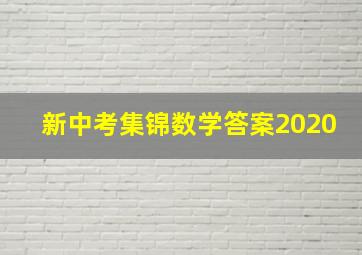 新中考集锦数学答案2020