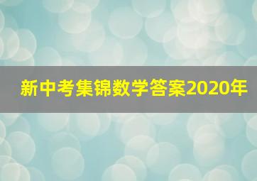 新中考集锦数学答案2020年