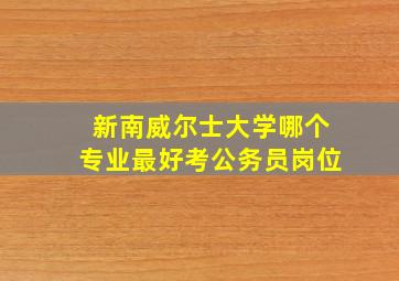 新南威尔士大学哪个专业最好考公务员岗位