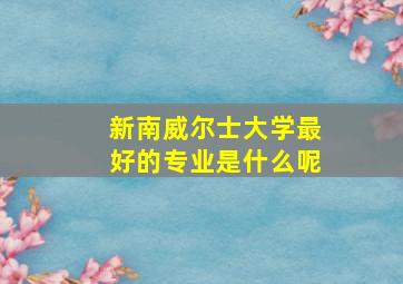 新南威尔士大学最好的专业是什么呢