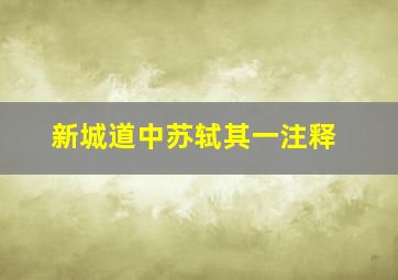 新城道中苏轼其一注释