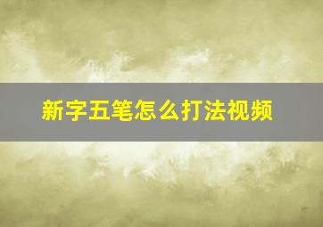 新字五笔怎么打法视频