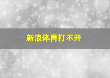 新浪体育打不开